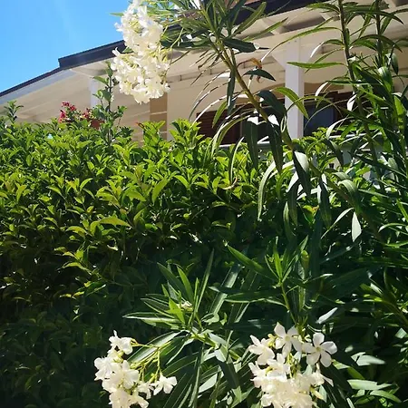 Da Alduccio 3* Vico Del Gargano