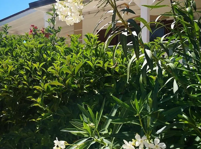 Da Alduccio 3* Vico Del Gargano